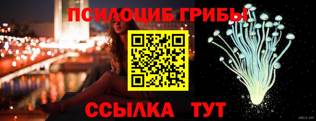 Псилоцибиновые грибы GOLDEN TEACHER Калач-на-Дону