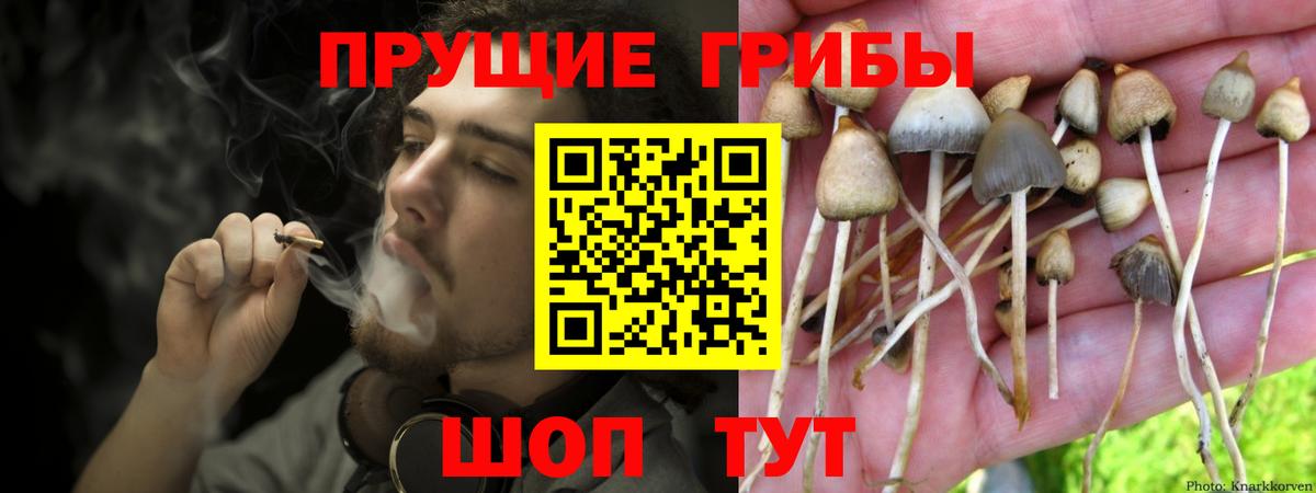Псилоцибиновые грибы GOLDEN TEACHER  Вход с VPN  магазин  наркотиков  Калач-на-Дону  Псилоцибиновые грибы MAGIC MUSHROOMS 